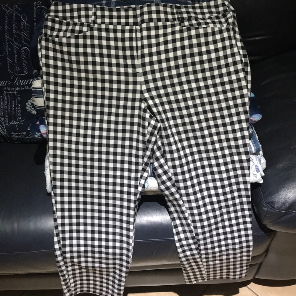Dress pant